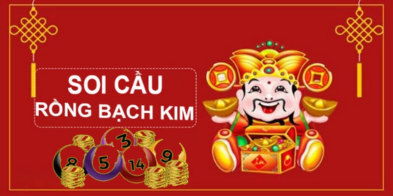 luck8 gà chọi