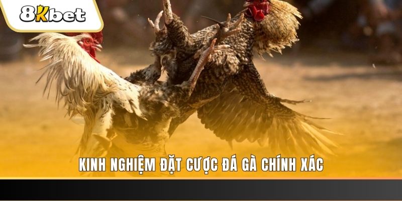 luck8 xổ số thứ bảy hàng tuần