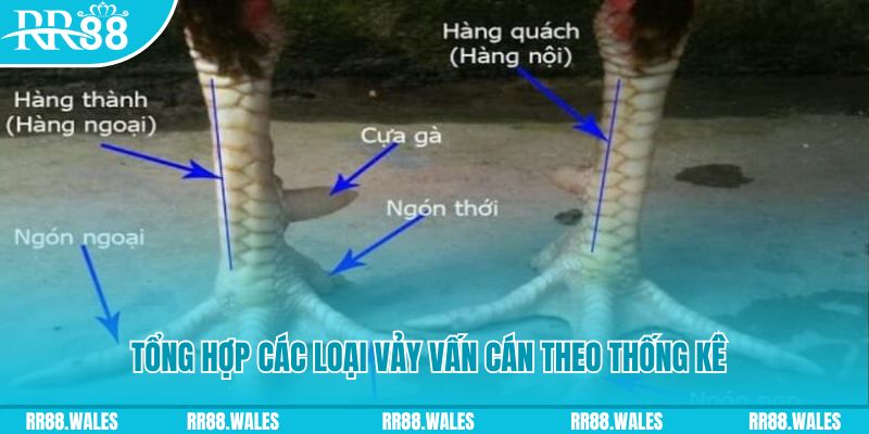 luck8 xổ số miền nam thứ sáu