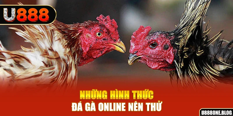 luck8 nổ hũ ai là gì