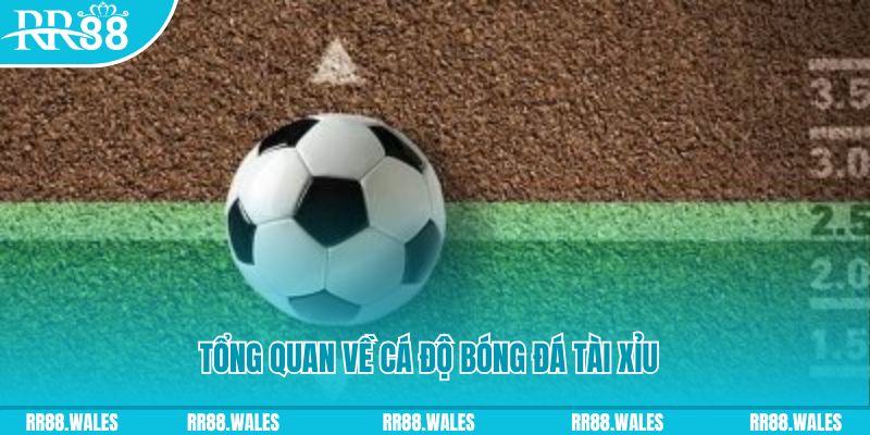 luck8 đăng nhập roulette online