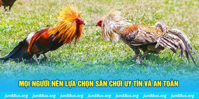 luck8 Cỡ bảy