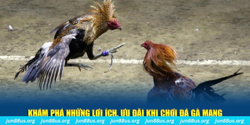 luck8 đăng nhập liêng live