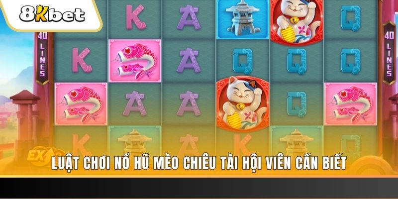 luck8 gà chọi cu cần