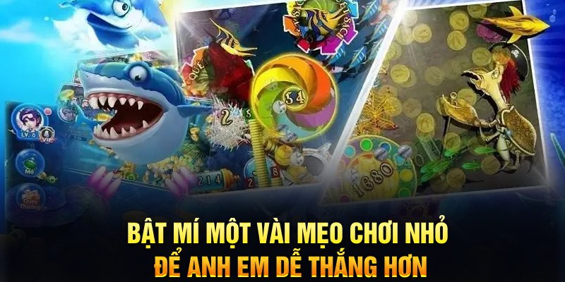 luck8 xổ số thứ ba