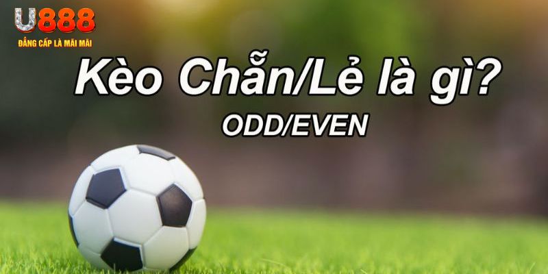 luck8 đăng nhập sòng bạc 2024