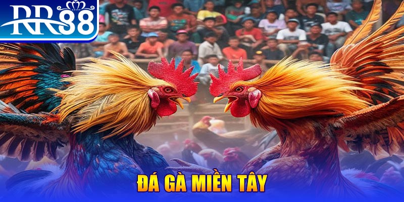 luck8 người chia bài trong casino gọi là gì