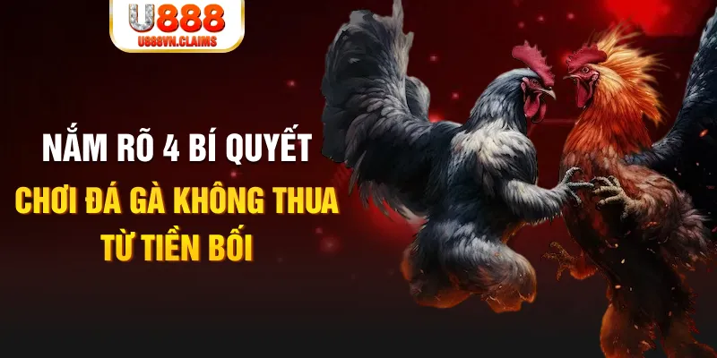 luck8 đăng nhập sòng bạc trực tiếp
