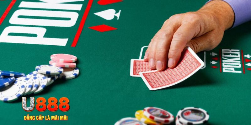 luck8 đá gà 88
