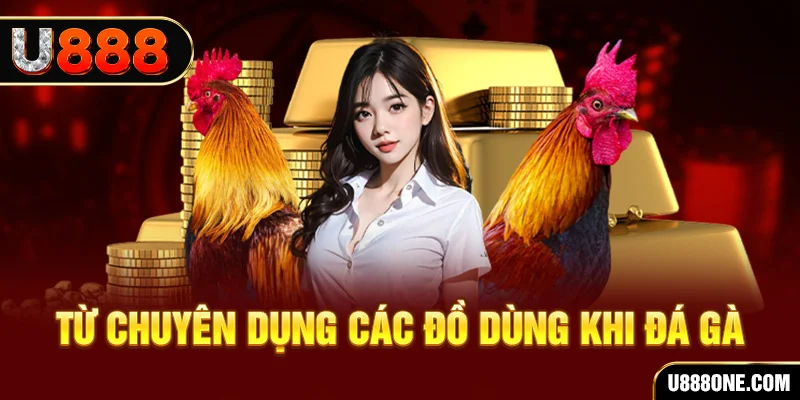 luck8 đá gà trực tiếp campuchia